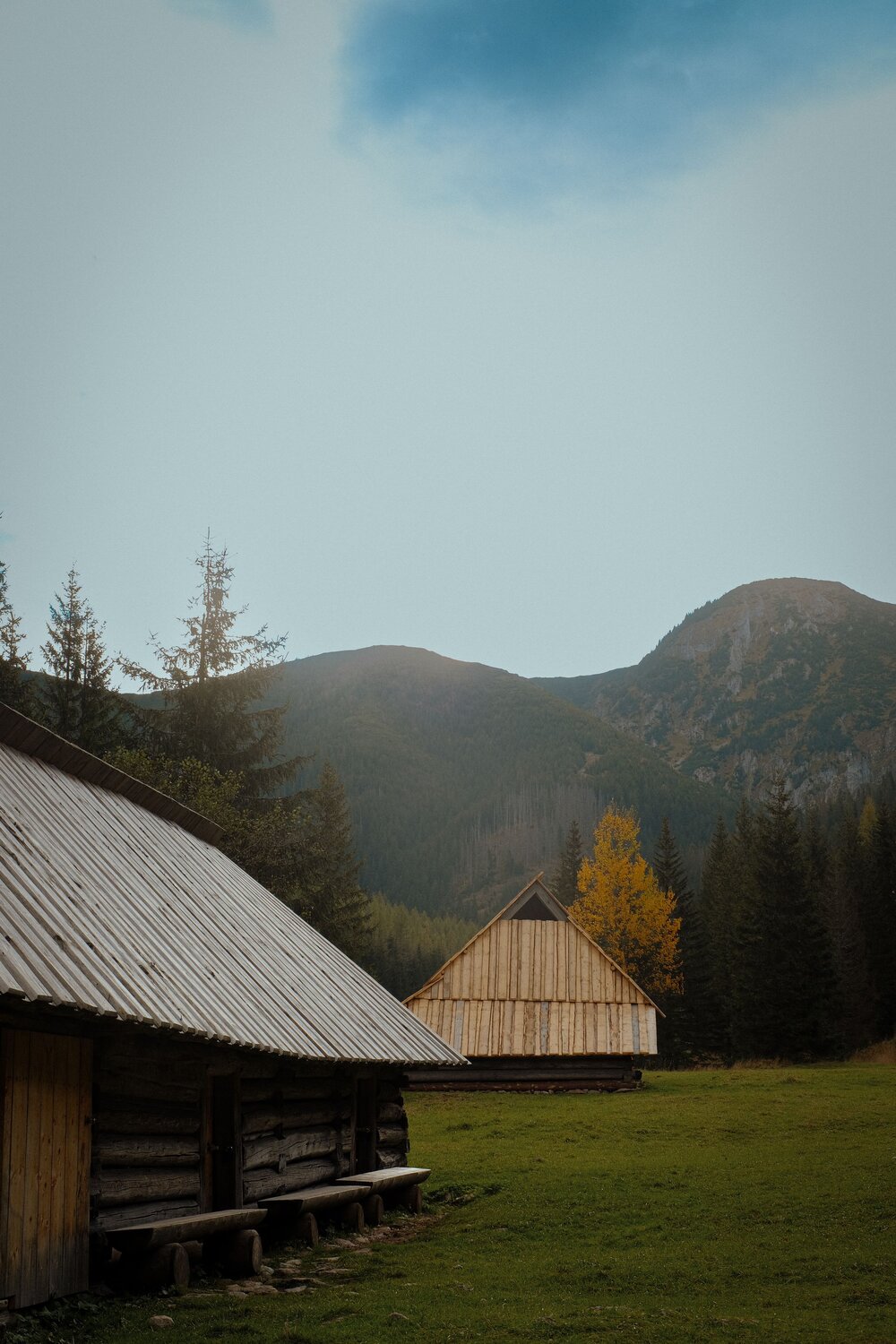 Photo #11198331