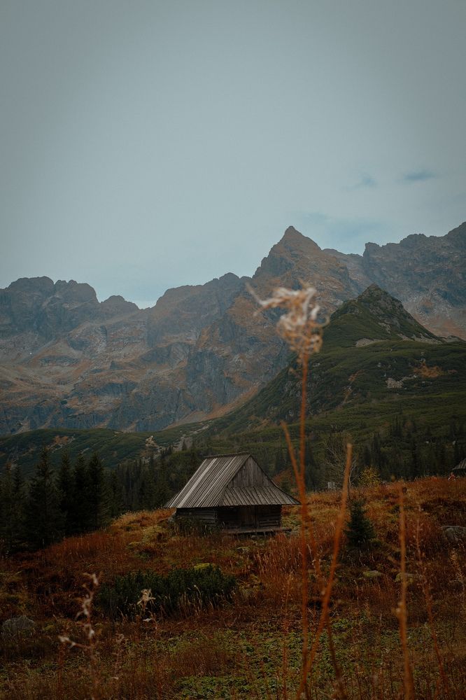 Photo #11198337