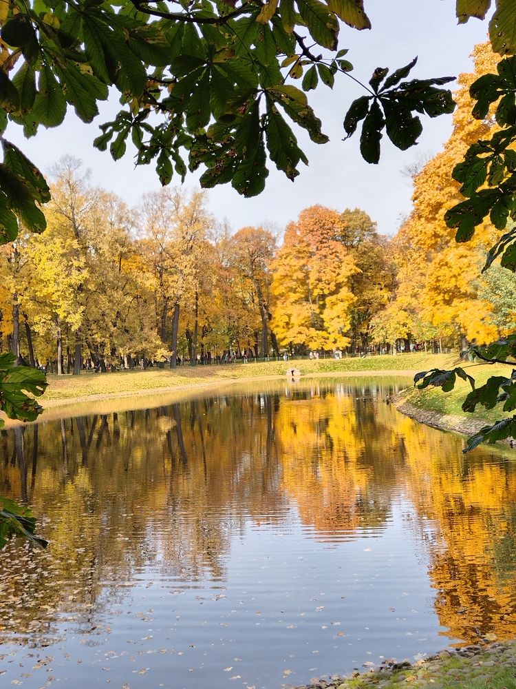 Photograph by Татьяна