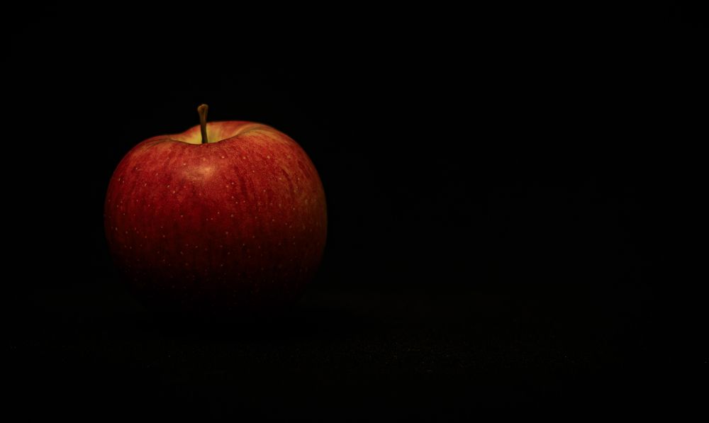 Photograph by Alex Kalpus