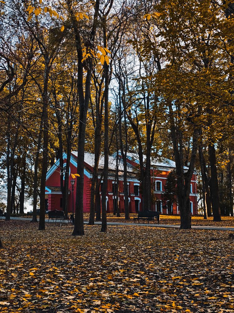 Фотография автора Анна Мисякова