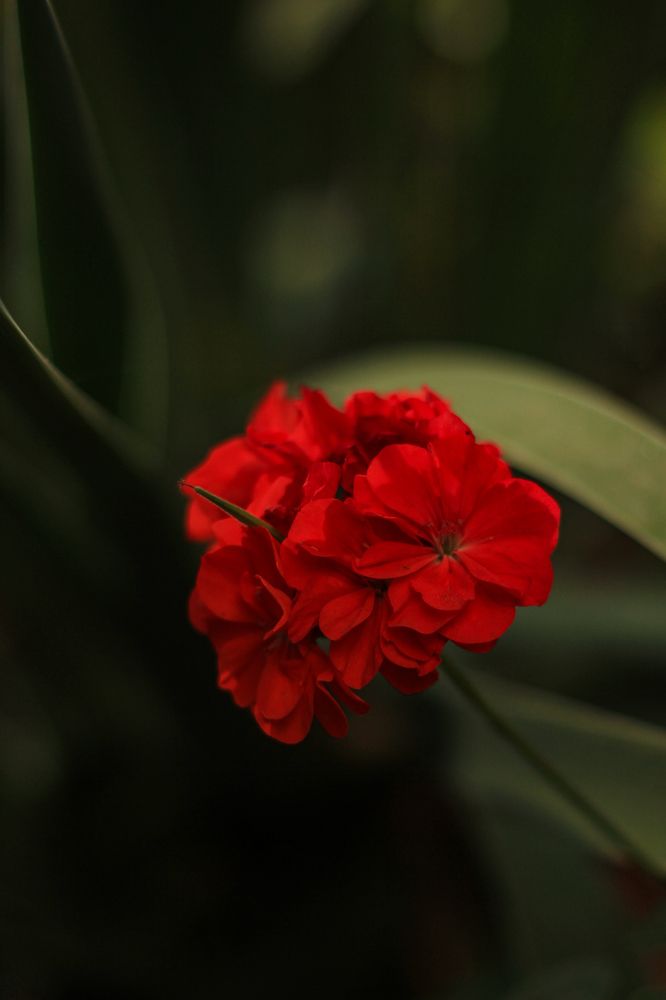 Фотография автора Анна Мисякова