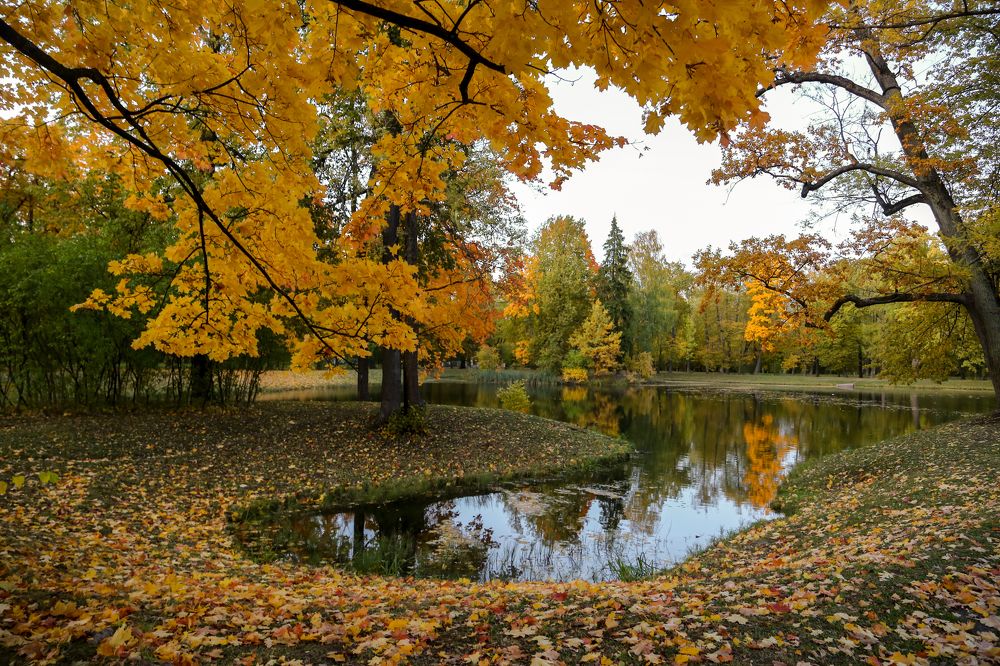 Photograph by Ирина Казанцева