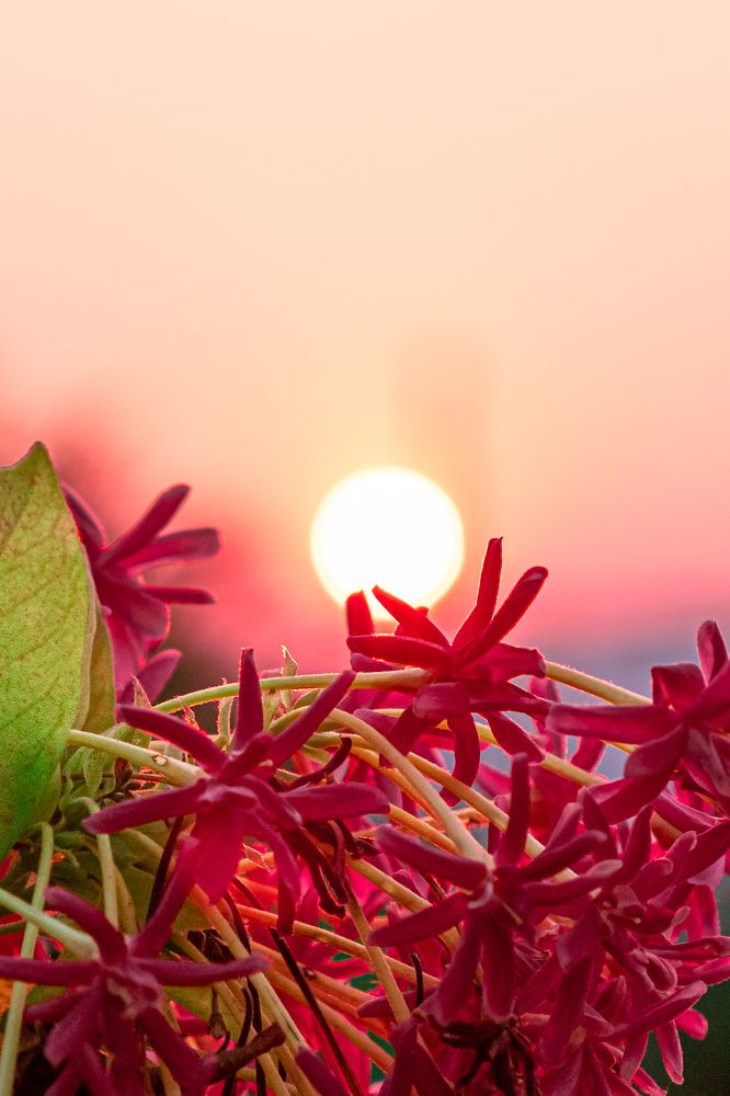 Photograph by Đức Long Nguyễn