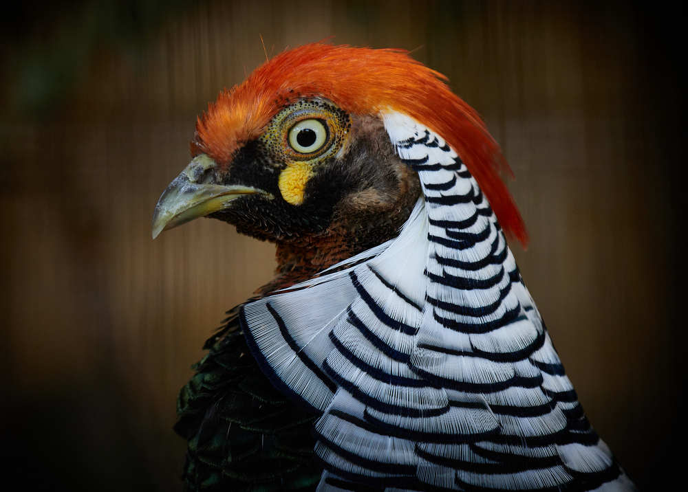 Фотография автора Ekaterina Palant