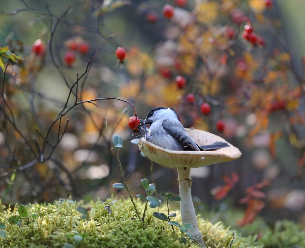 Photograph by Евгения Левина