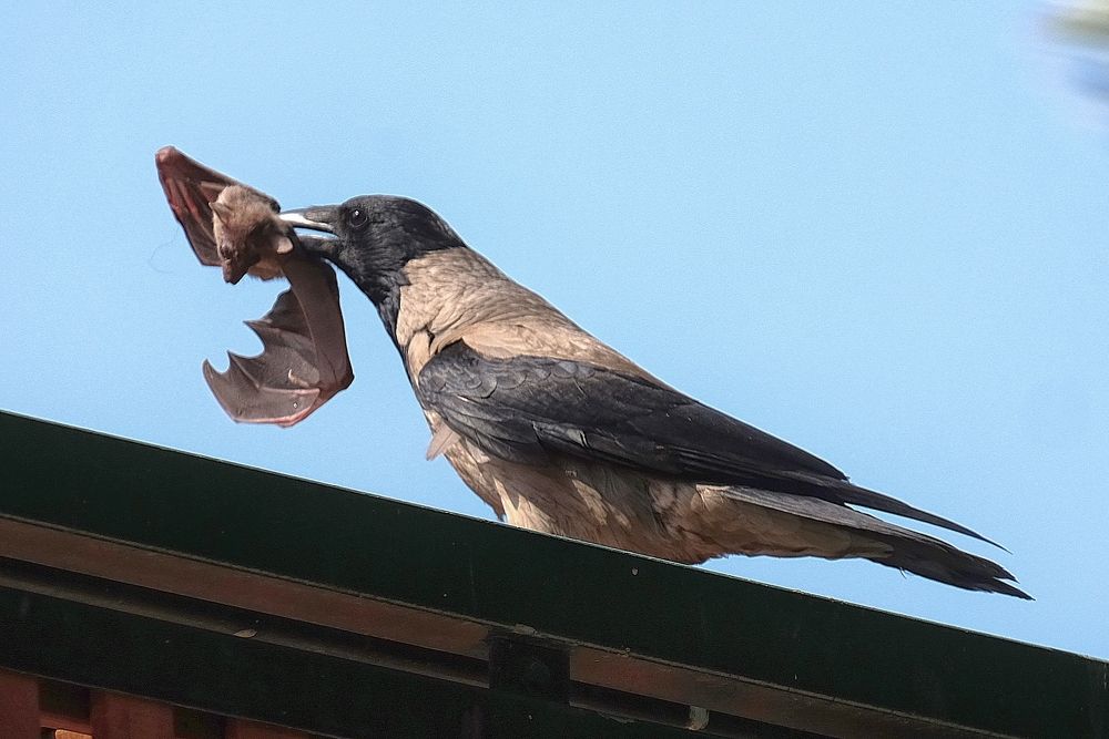 Photograph by Karchemski Arkadi
