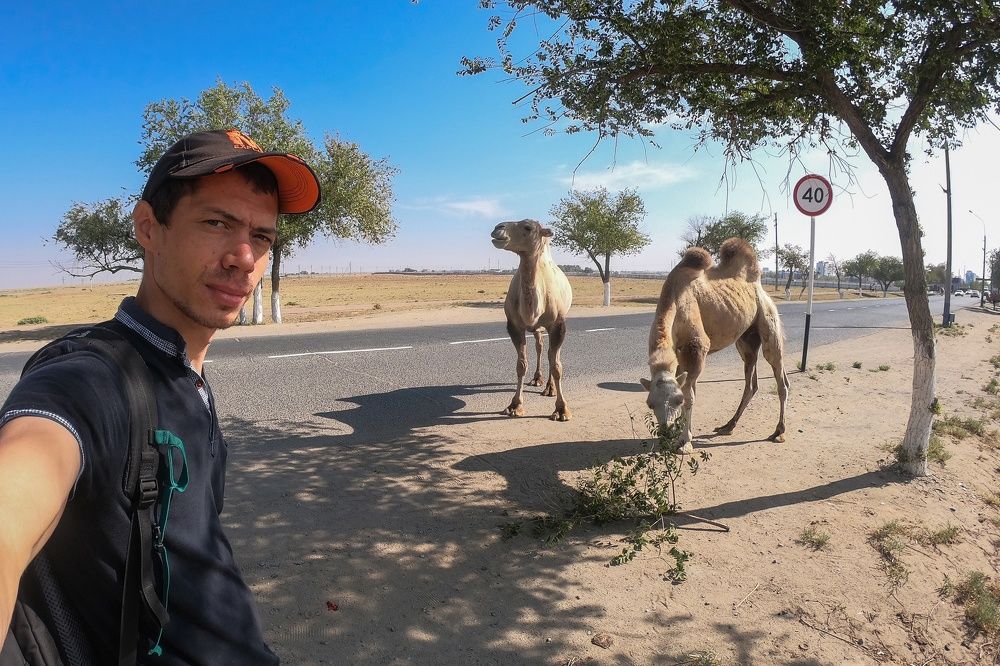 Photograph by Алексей Оборин