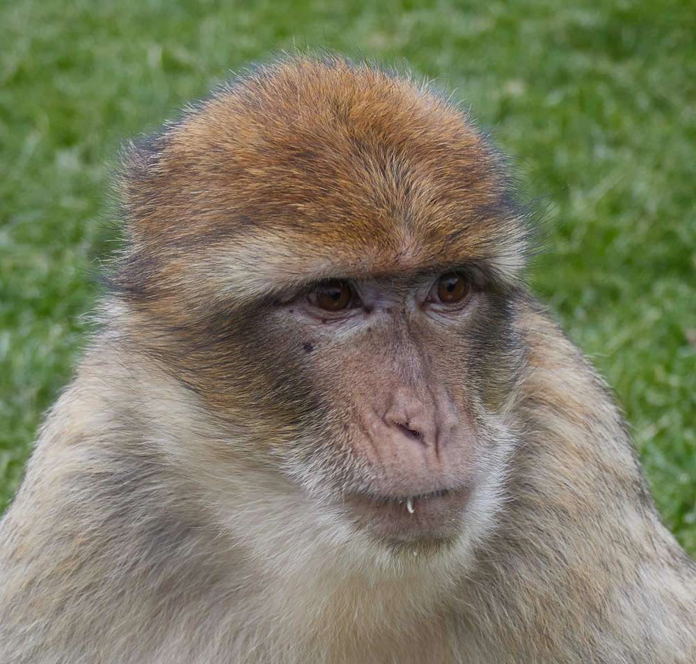 Фотография автора Ekaterina Palant