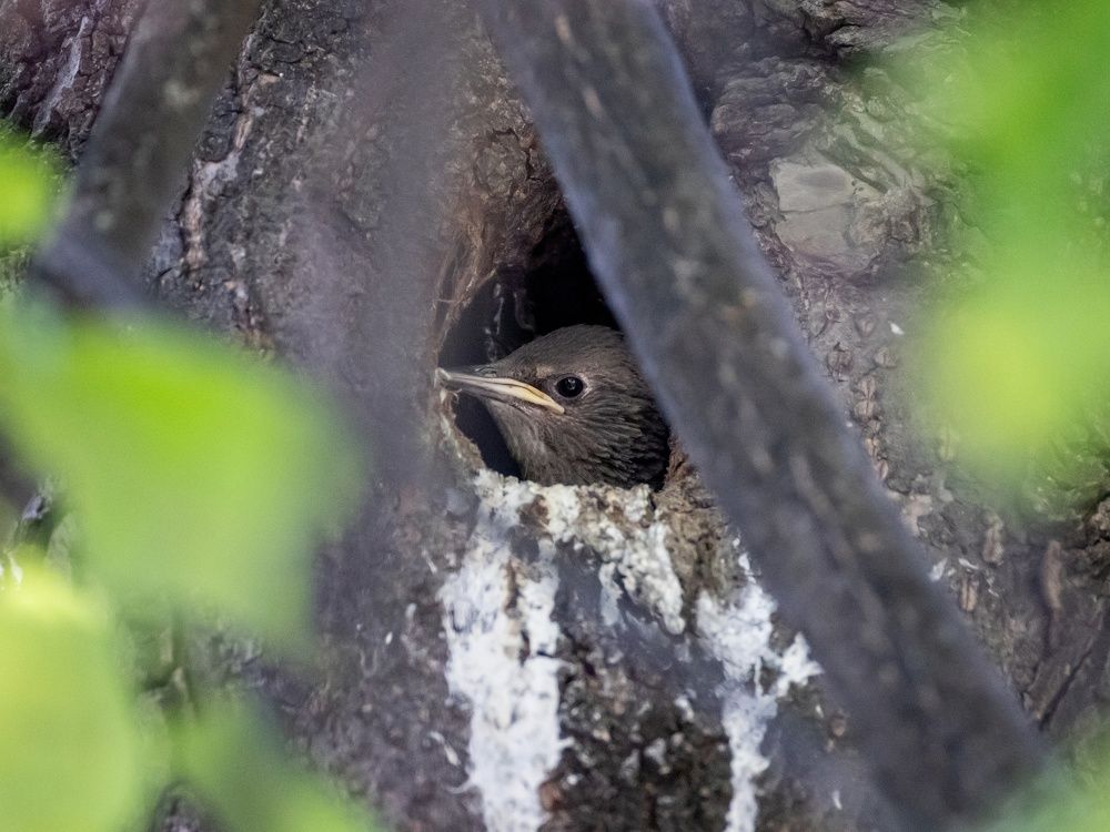Photograph by Даниил Ларионов
