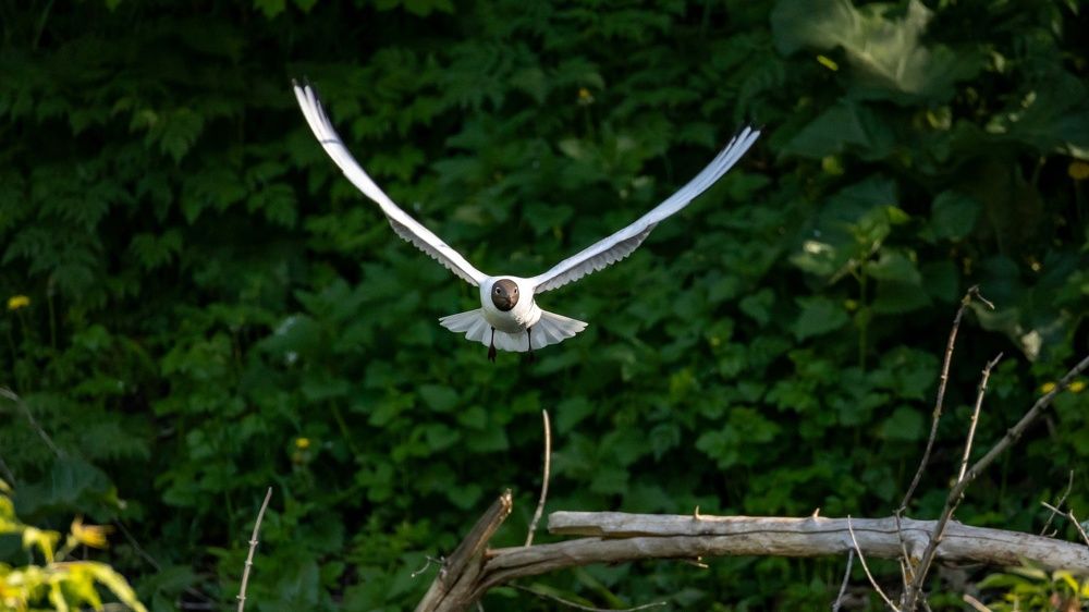 Photograph by Даниил Ларионов