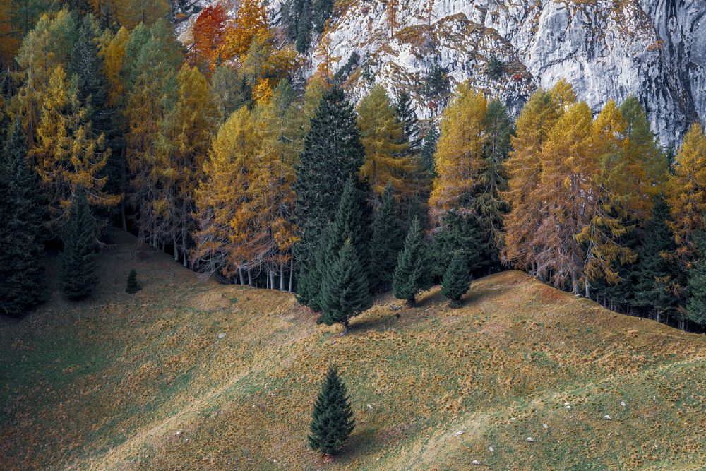 Photograph by Luca Menotti