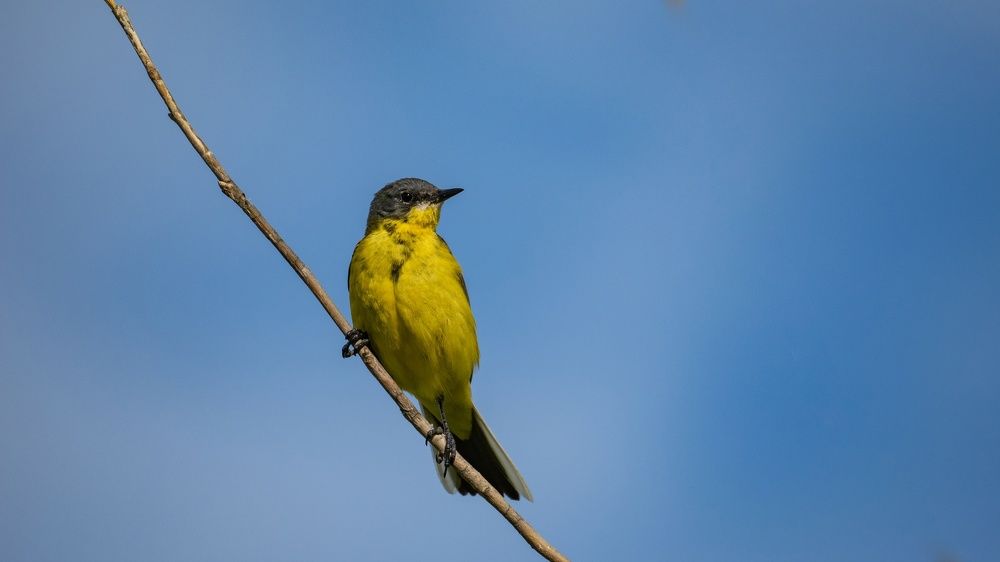 Photograph by Даниил Ларионов