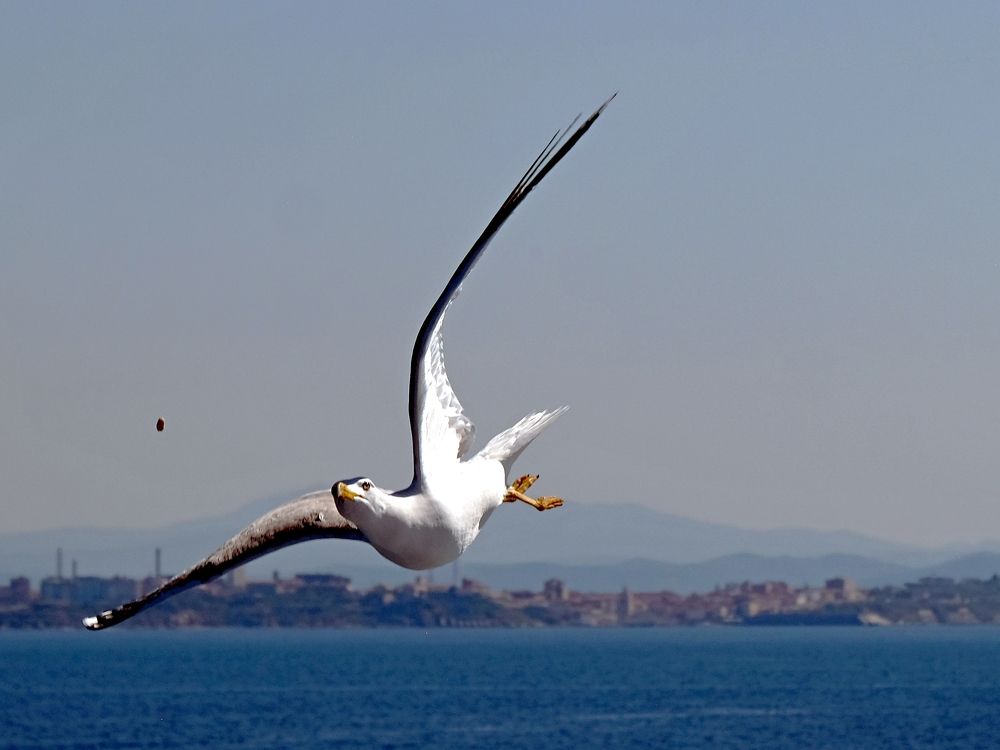 Photograph by Karchemski Arkadi