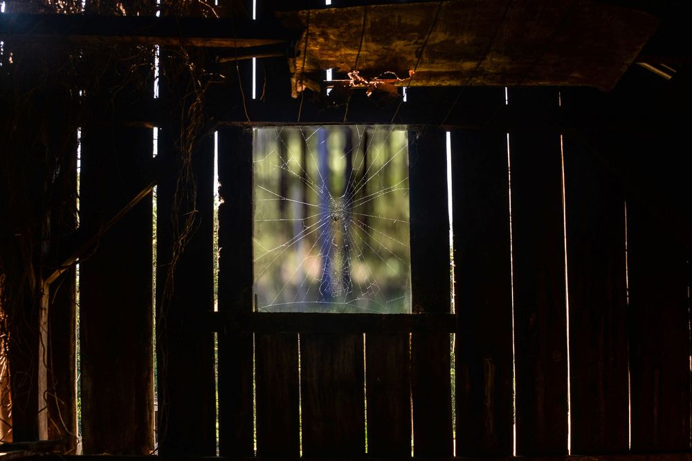 Photograph by Ricardo Kimmich