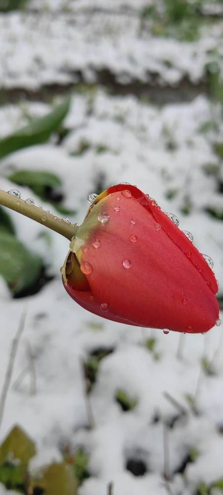 Photograph by Лидия Баженова