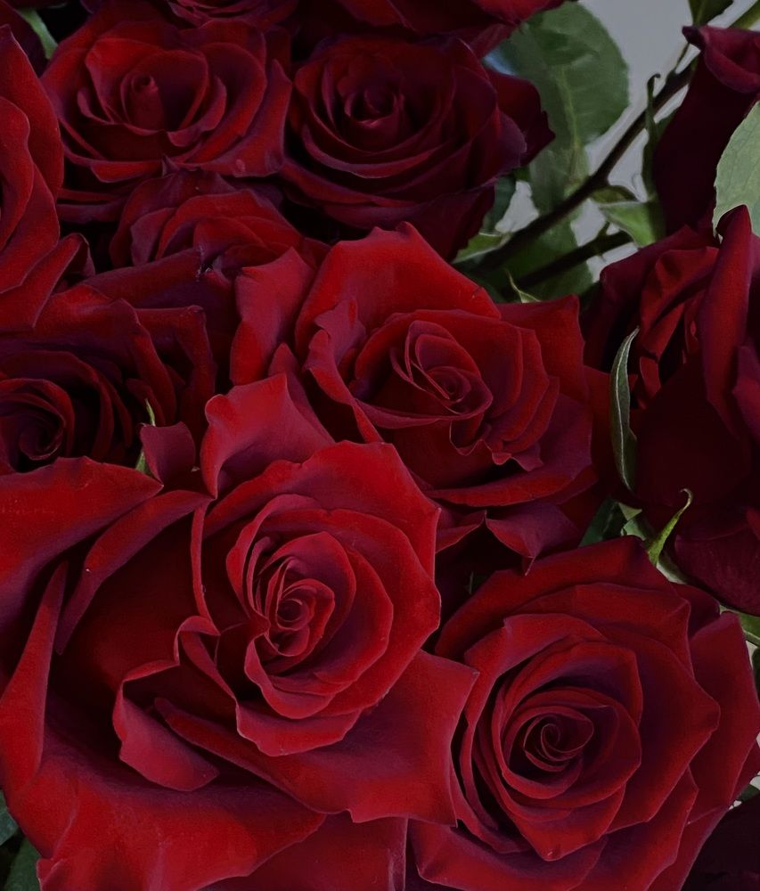 Photograph by Софья Цыбулько