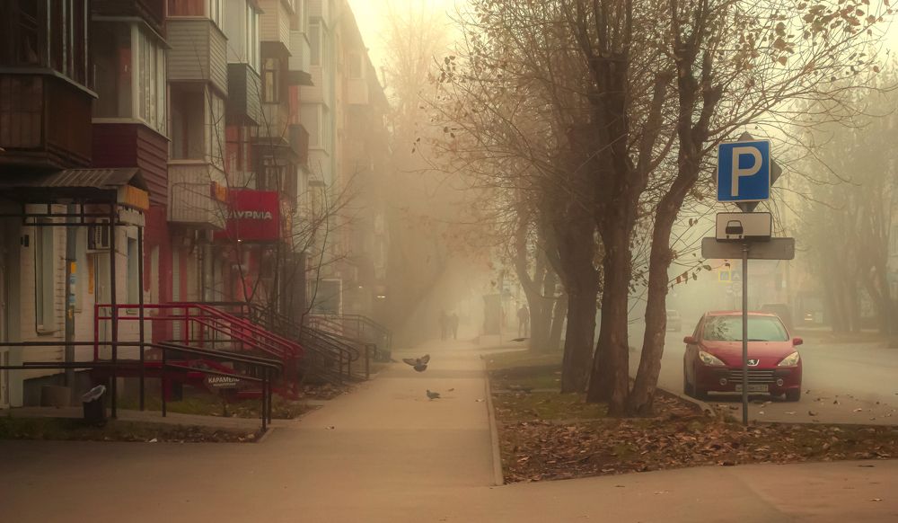 Photograph by Любовь Бусова