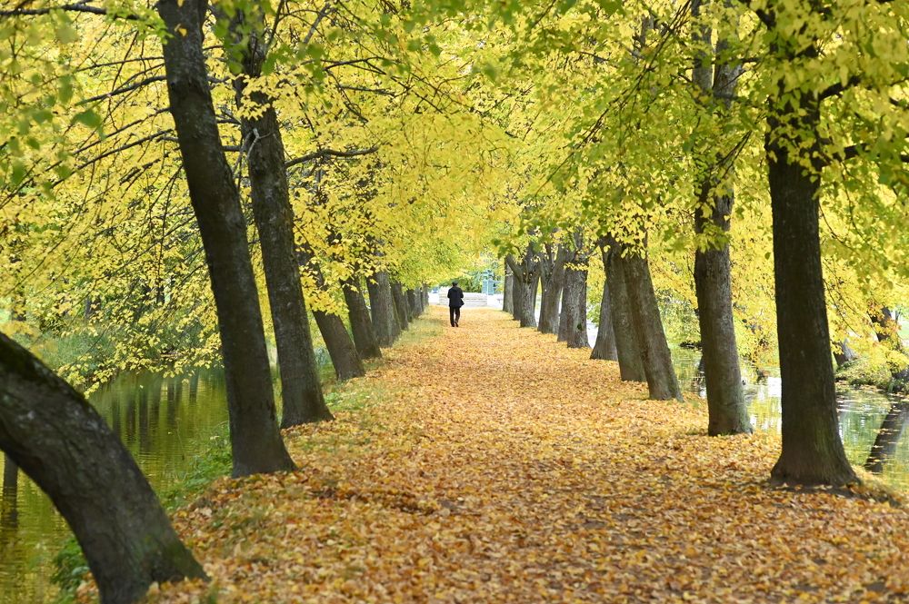 Photograph by Сергей Вальков