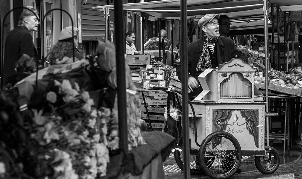 Photograph by Alex Kalpus