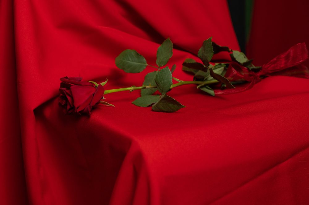 Фотография автора Olga Shchetinina