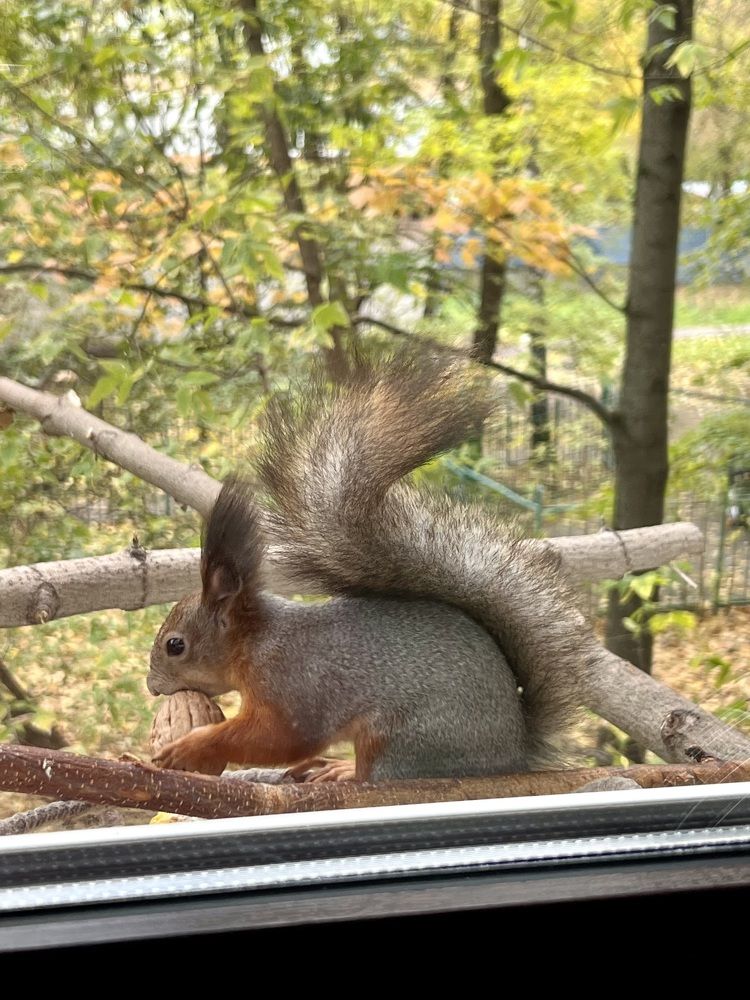 Photograph by Ирина Швейнова