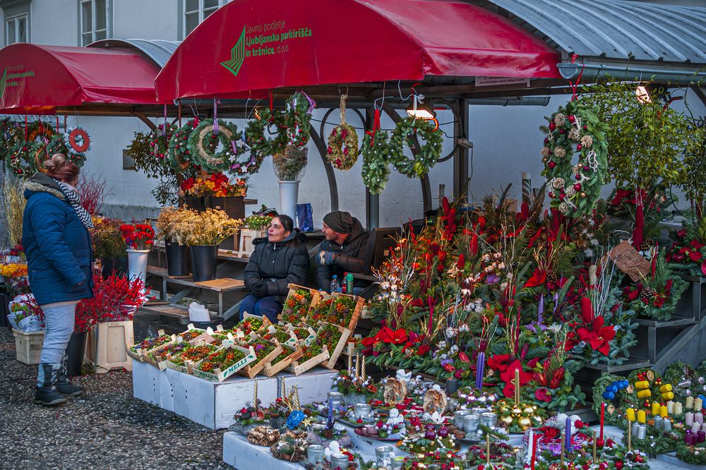 Photograph by Luca Menotti