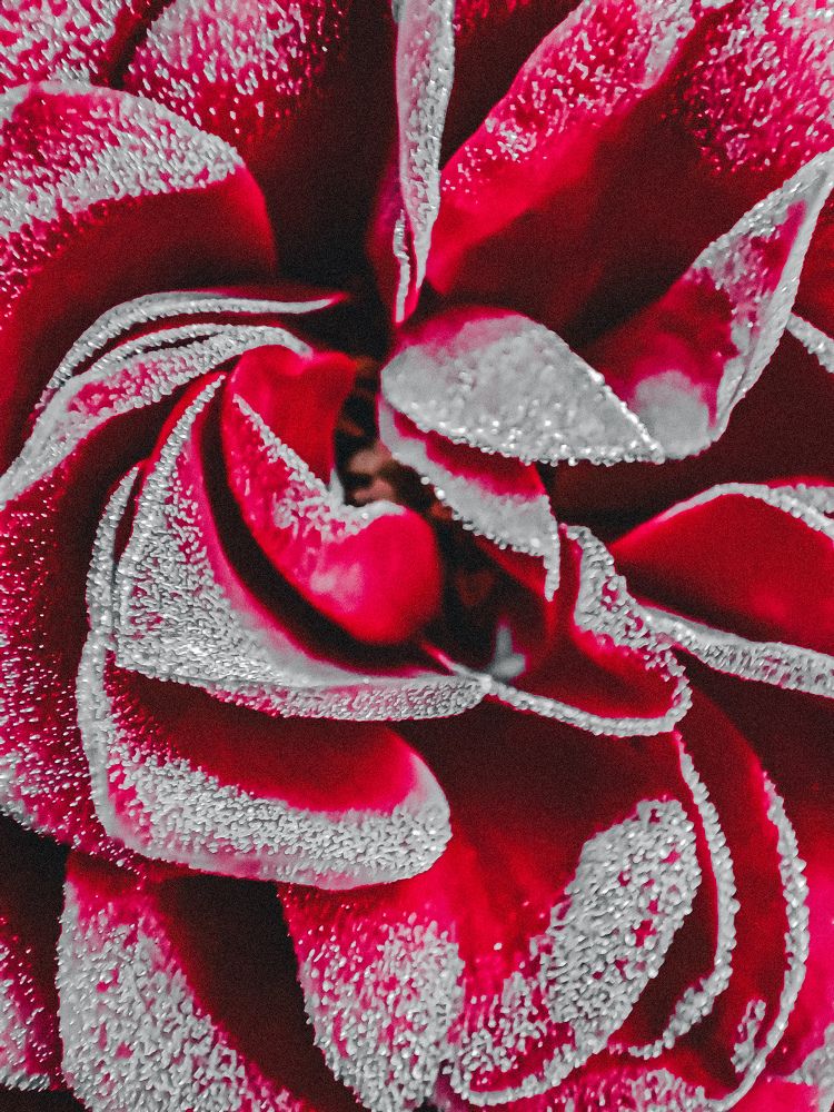 Фотография автора Нина Зинченко