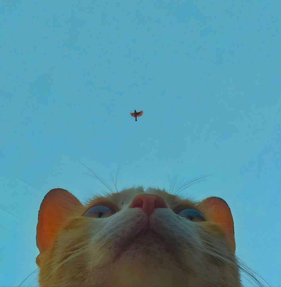 Photograph by Adel Sami