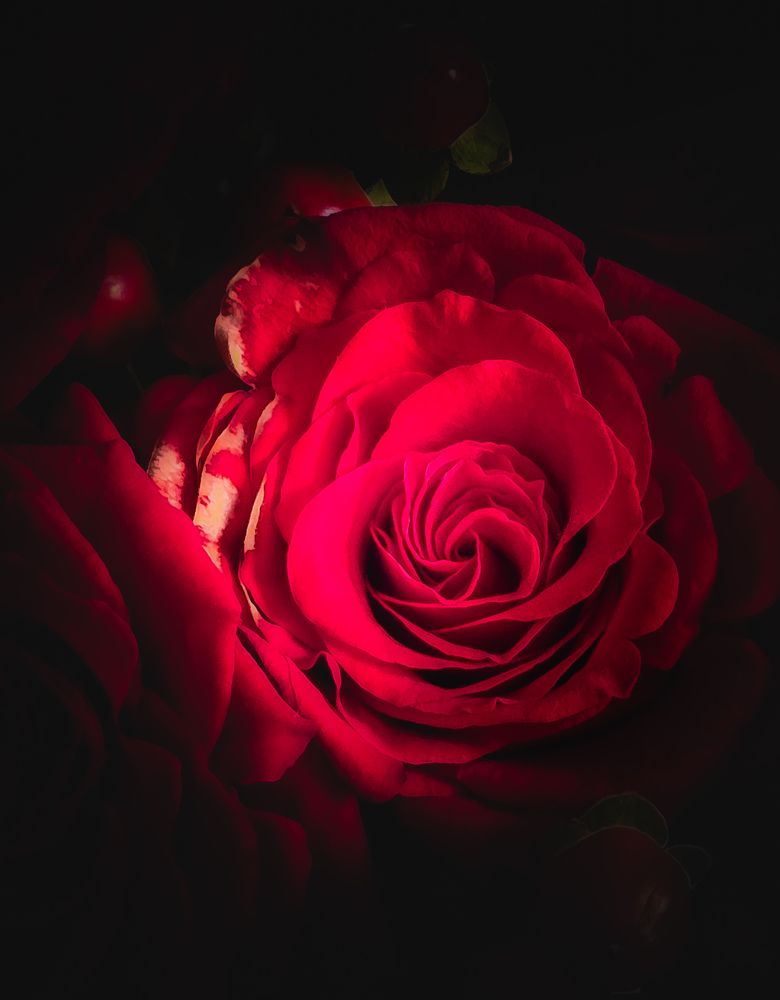 Photograph by Asmaa ELTouny