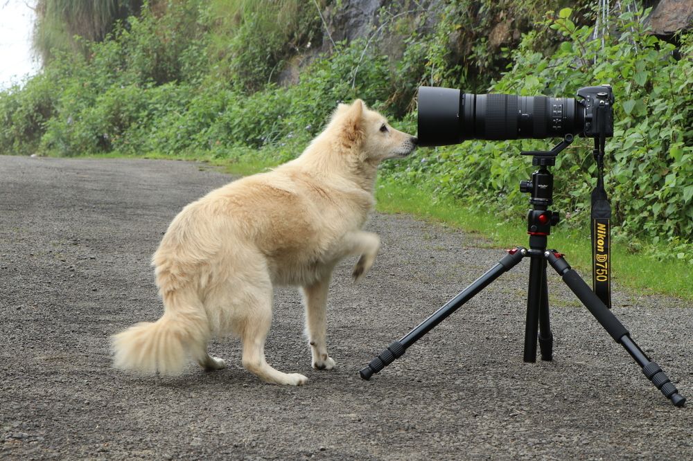 Photograph by SIVAMOORTHY VELMURUGAN