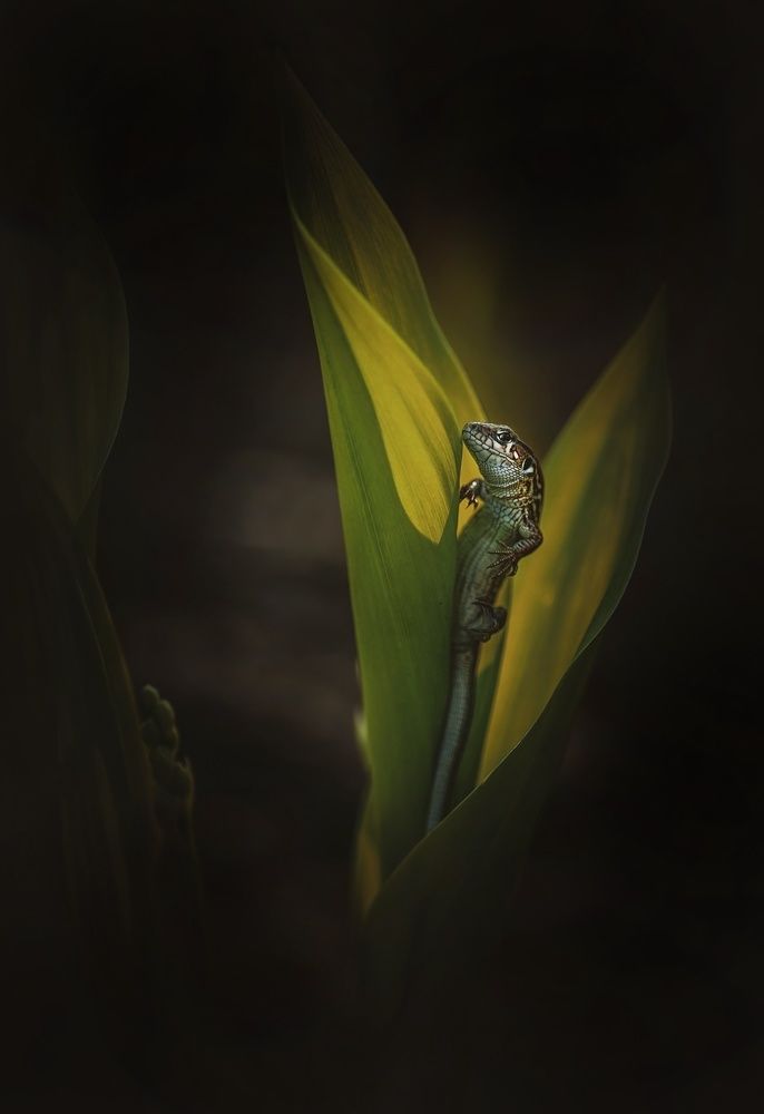 Photograph by Лапшина Владлена