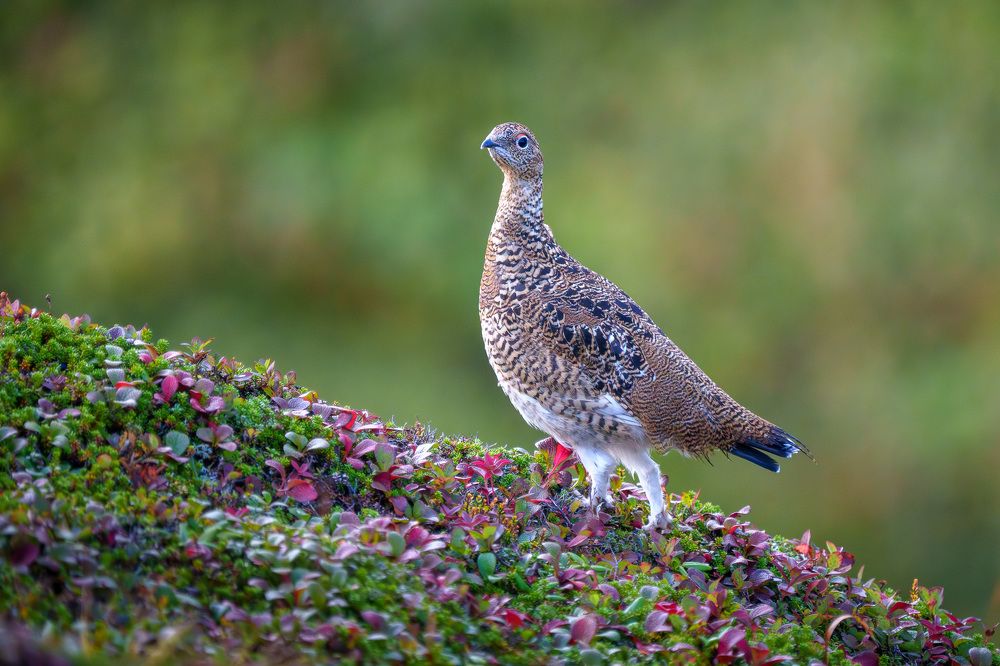 Photograph by Труханов Илья