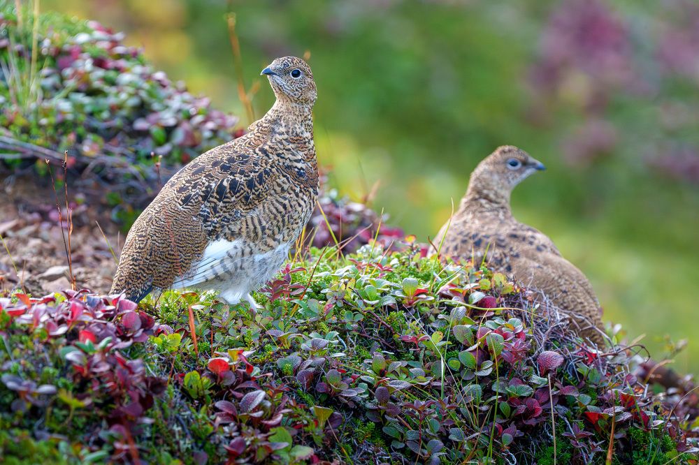 Photograph by Труханов Илья