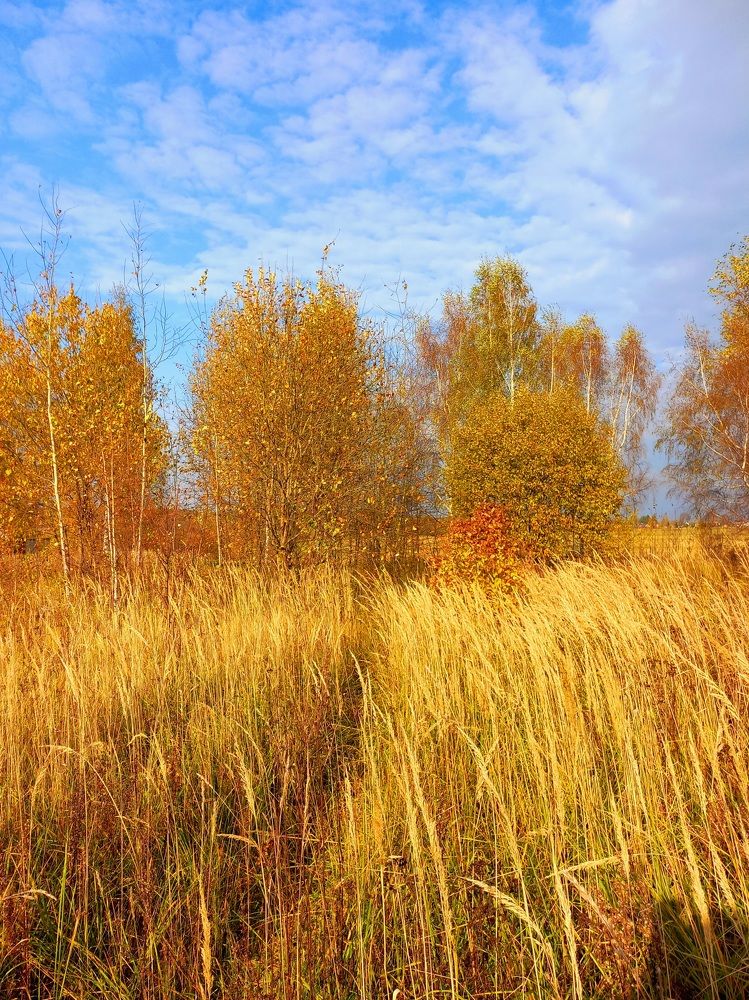 Photograph by Яна