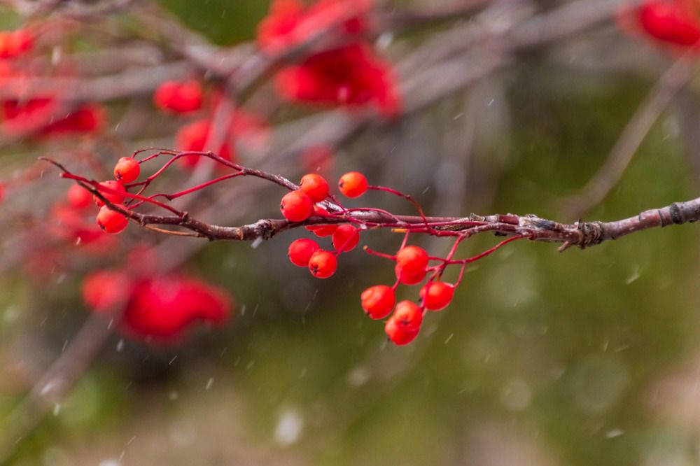 Photograph by Irina Luidinshina