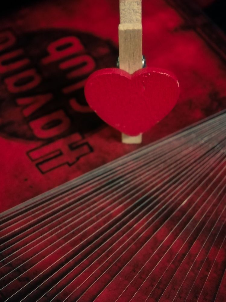 Фотография автора Альбина Хвастунова