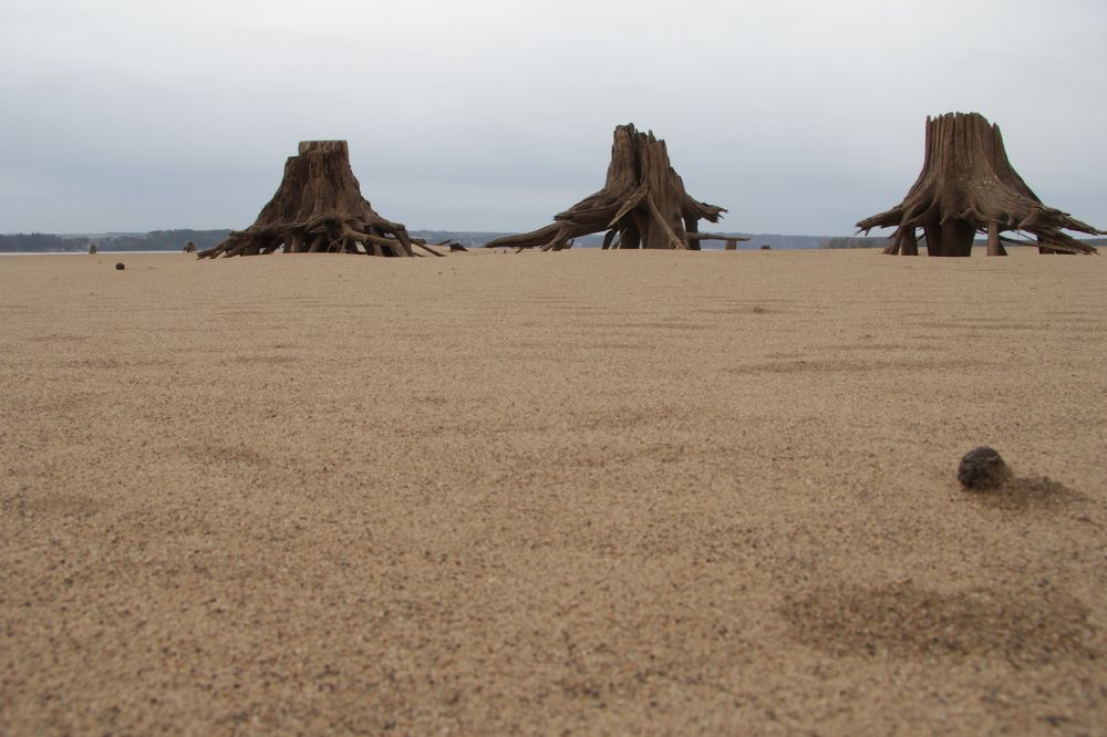 Photograph by Владимир Юрченко