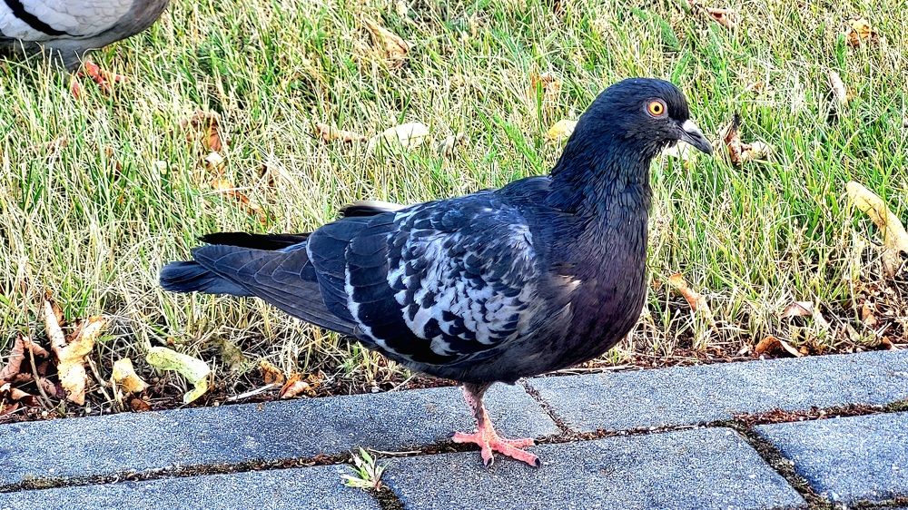 Photograph by Dmitrij Zykunov