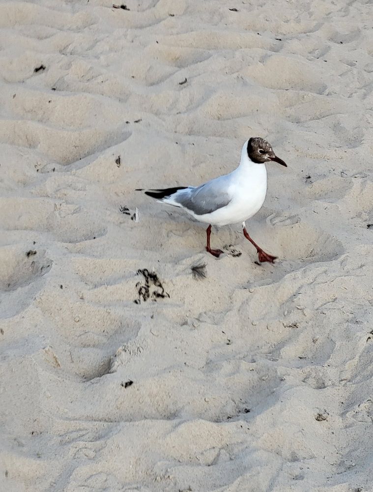 Photograph by Dmitrij Zykunov