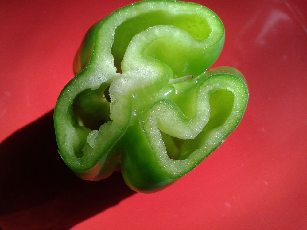 Photograph by Елена Смирнова