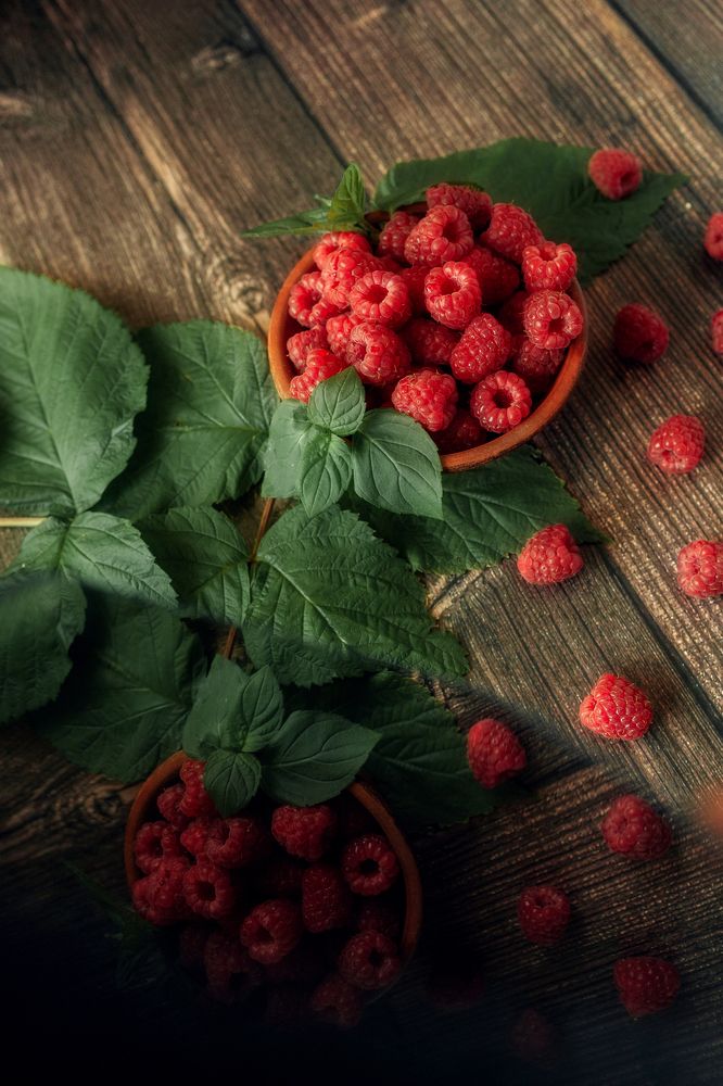 Фотография автора Альбина Кадочникова