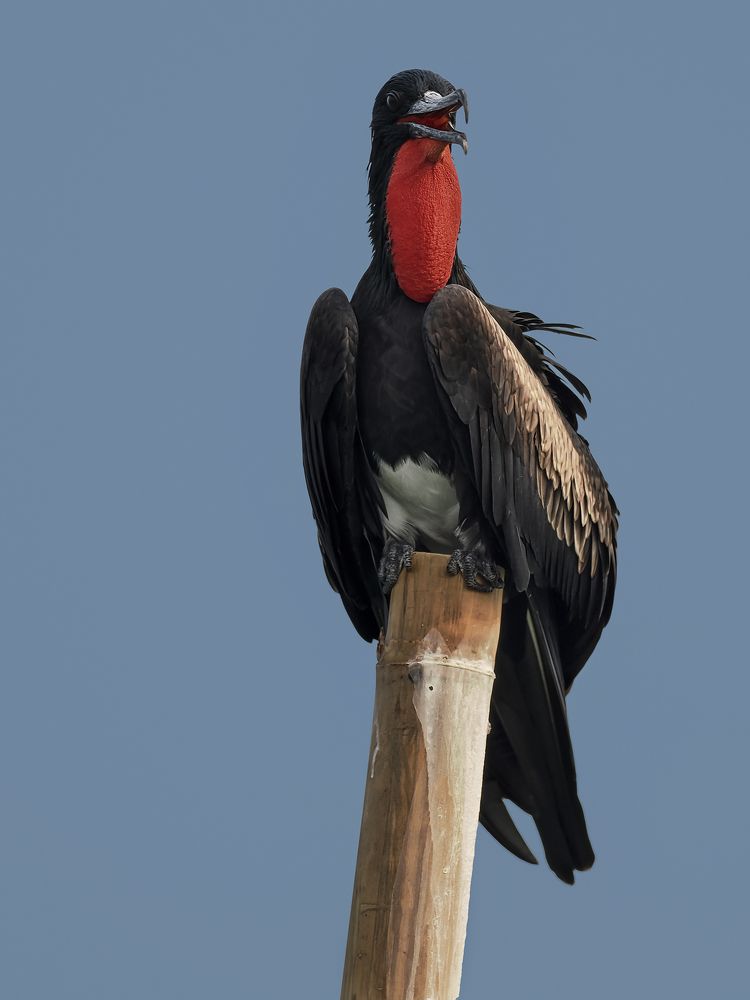 Photograph by Lugyanti Sukrisman