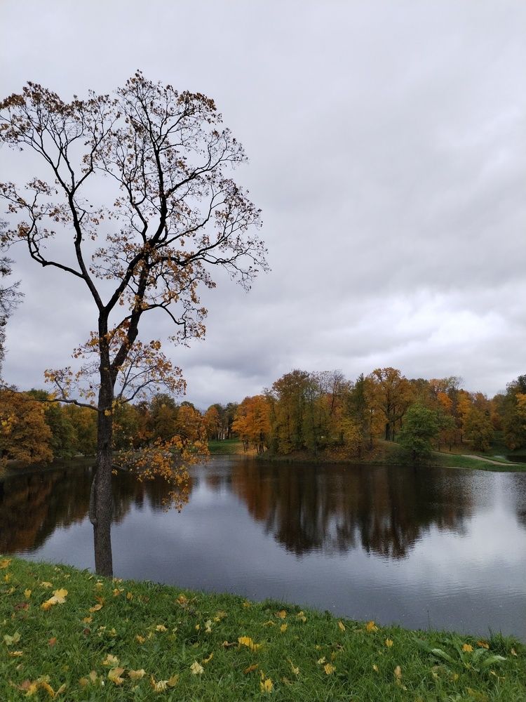 Фотография автора Альбина Хвастунова