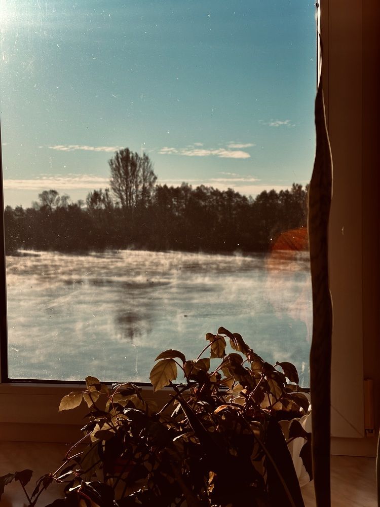 Photograph by Наумова Татьяна