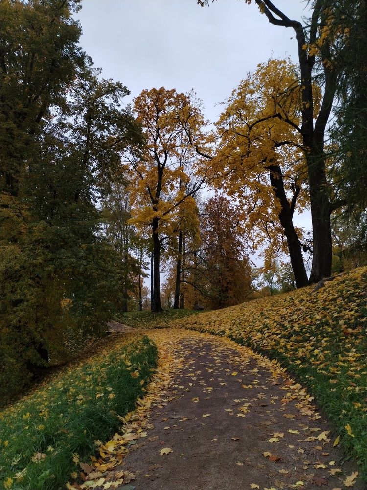 Осенняя тропа