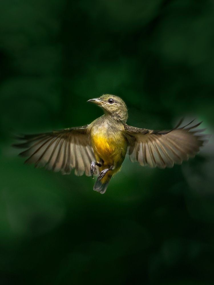 Photograph by Lugyanti Sukrisman