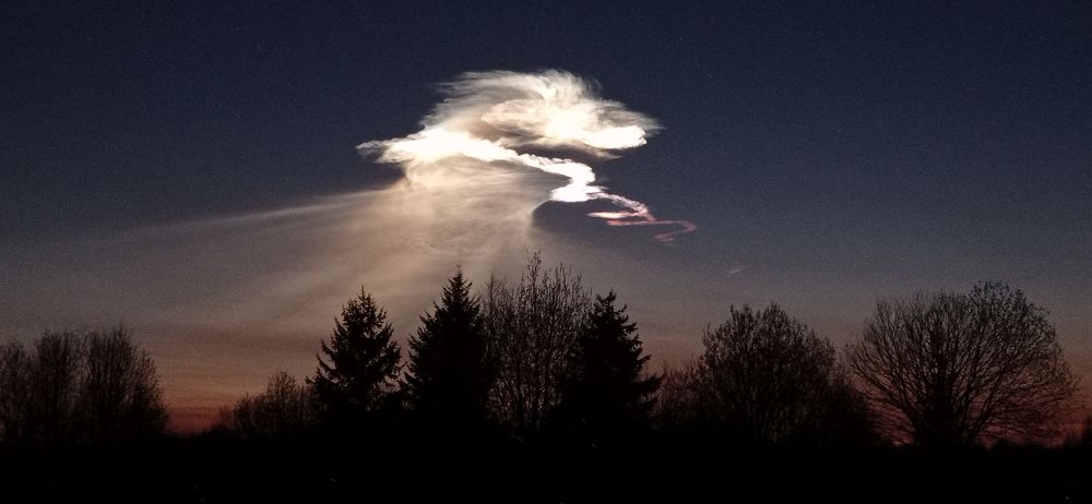 Photograph by Галина Катанова