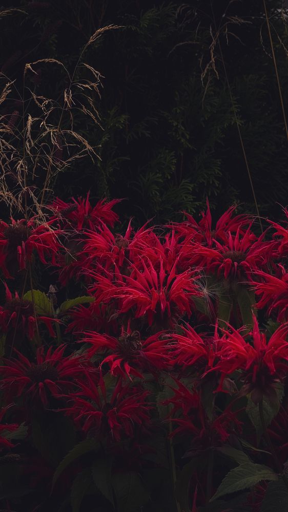 Photograph by Марина