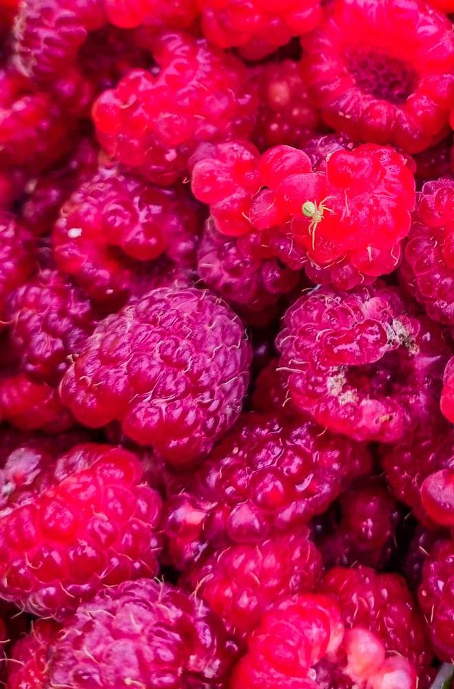 Photograph by ANDREY BATALOV